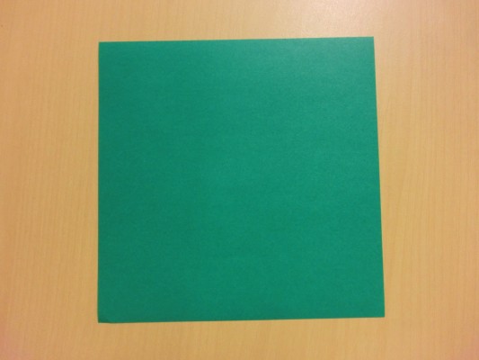 CIMG2894
