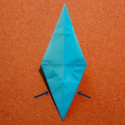 tricera_25
