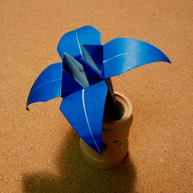 折り紙の菖蒲（あやめ）の折り方！簡単から立体までをご紹介！