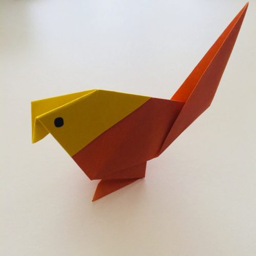 折り紙のインコの折り方！簡単で立体の作り方をご紹介！