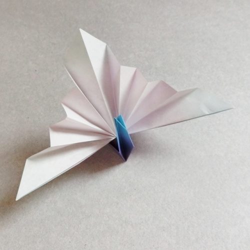 折り紙の孔雀（クジャク）の折り方！立体でキレイな作り方をご紹介！